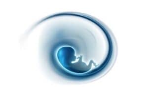 metamorfica1 tecnica metamorfica